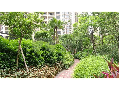 市政绿化工程签证