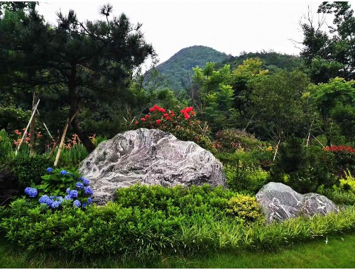 大冶城市绿化带种植什么植物好