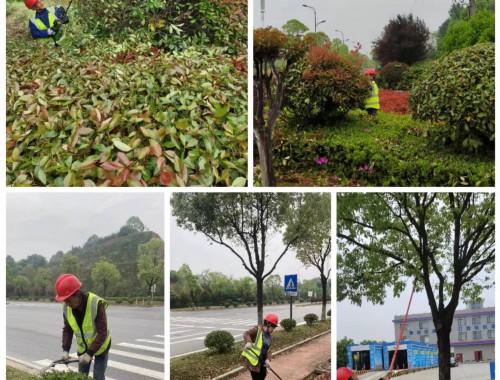 永登城市绿化地址电话